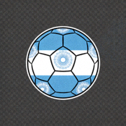 阿根廷国家足球队官方标志